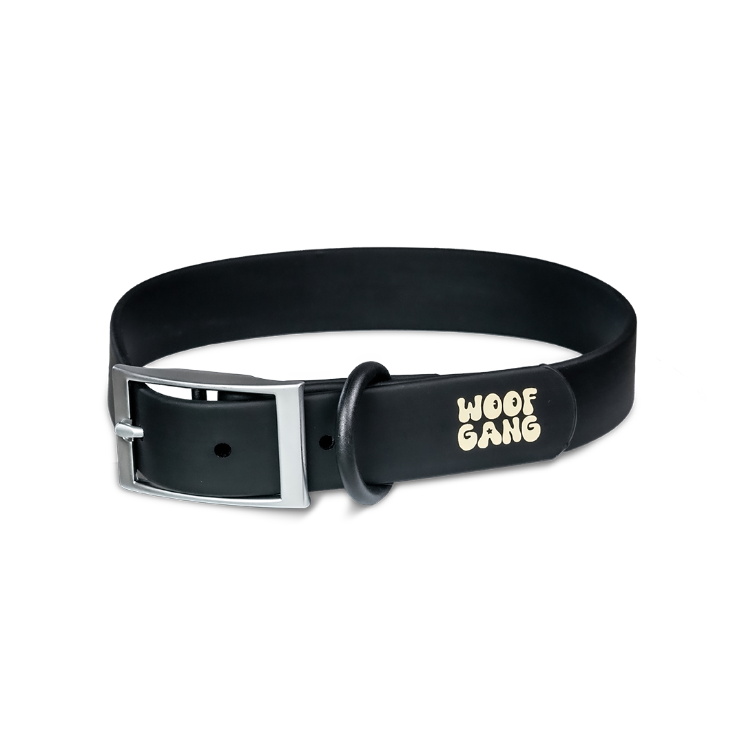 Essential Collar