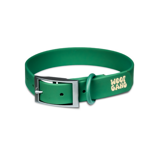 Essential Collar