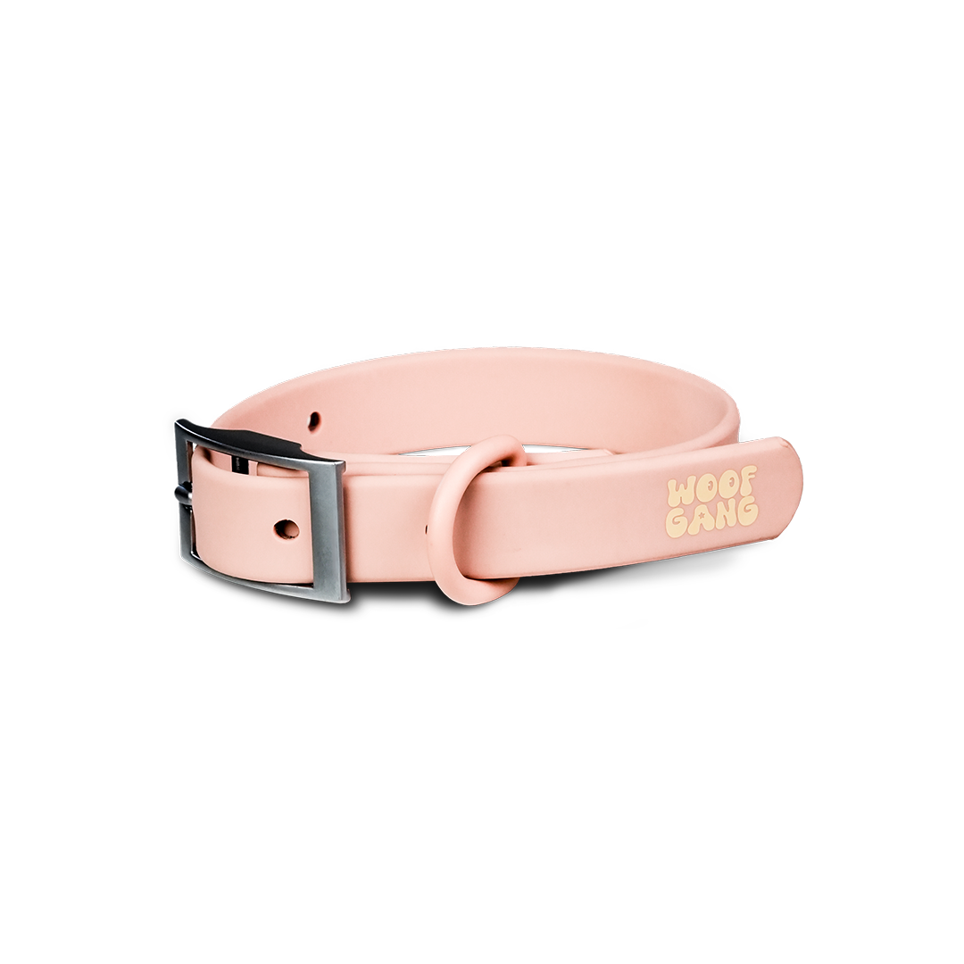 Essential Collar